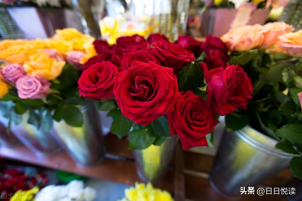 开花店如何挣钱最快,开花店怎么入手赚钱