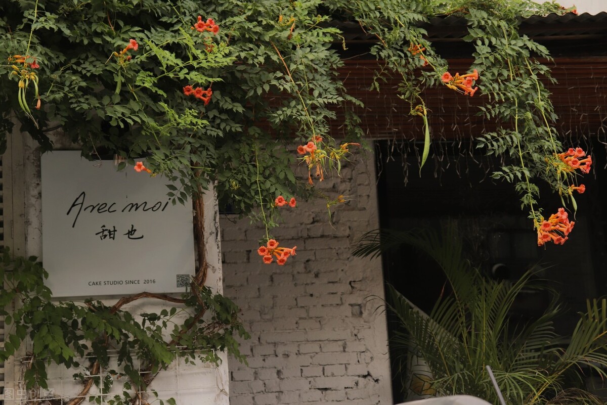 愿琴瑟在御岁月静好什么意思,愿琴瑟在御岁月静好