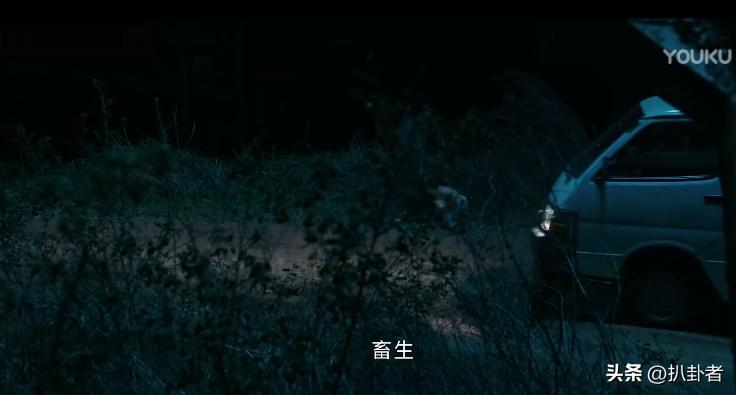 他是谁：5大细节暗示，李雪梅案的凶手不是饭馆老板，而是聂宝华