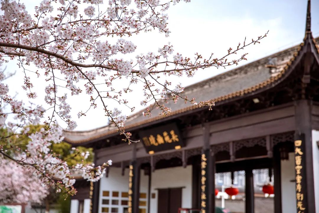 今日开通高铁,快上车流程