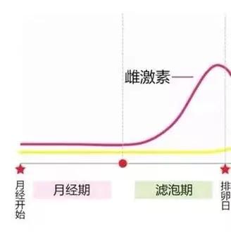 女生必须知道的身体小知识,女神的话题