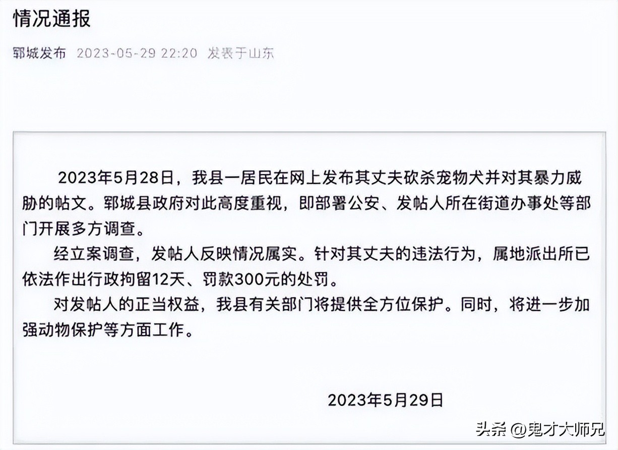 砍杀柯基威胁女子彩礼返还,砍杀柯基事件女子离婚了吗