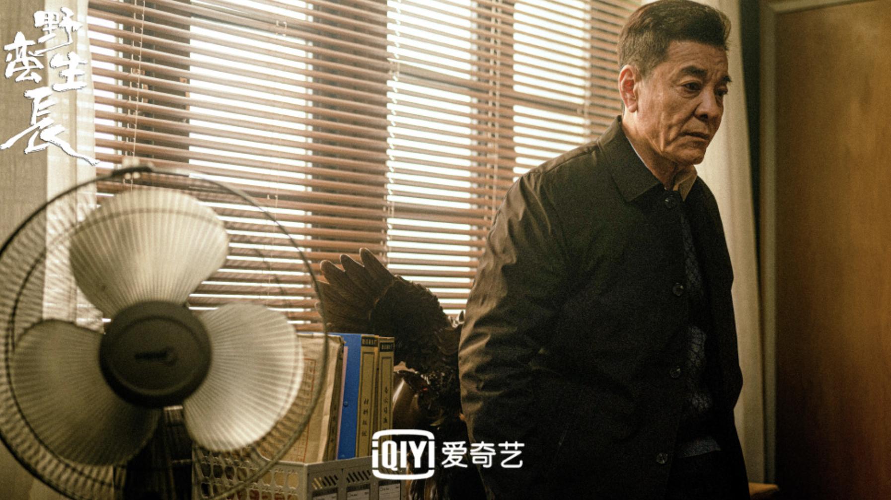 赵丽颖明年新剧,赵丽颖新剧野蛮生长定档