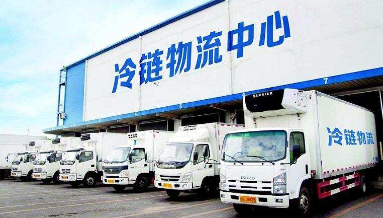 冷链物流入门,冷链物流怎么入行