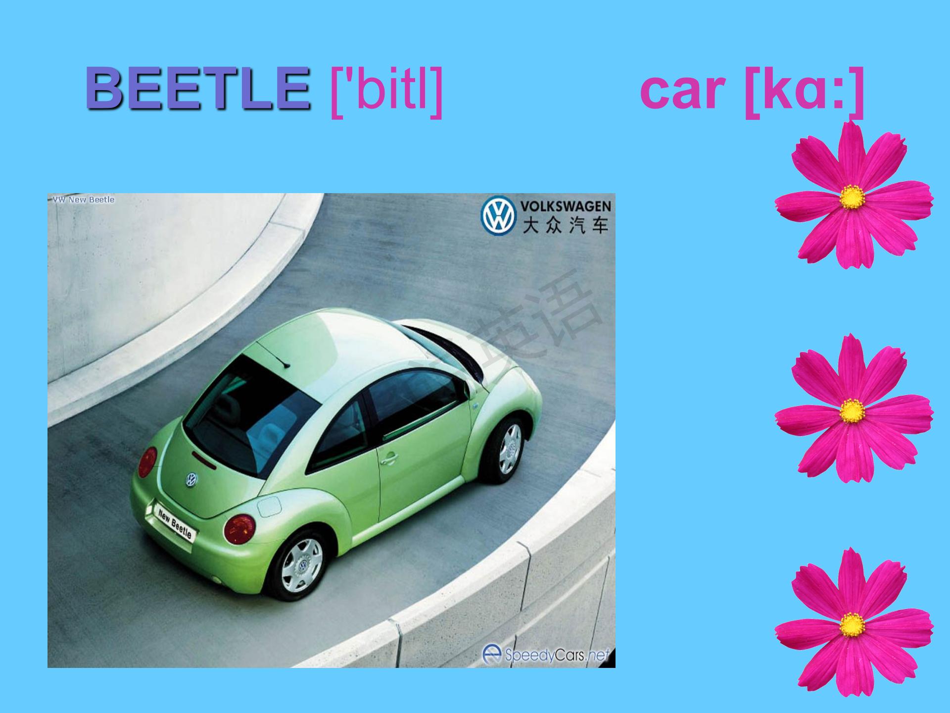 新概念第一册知识点总结课件,新概念英语第一册31到32课课件