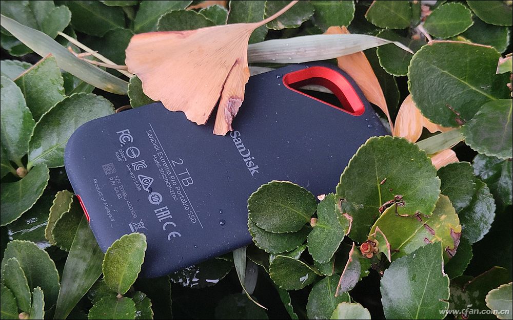 闪迪至尊超极速移动硬盘,闪迪至尊超极速m2固态硬盘评测