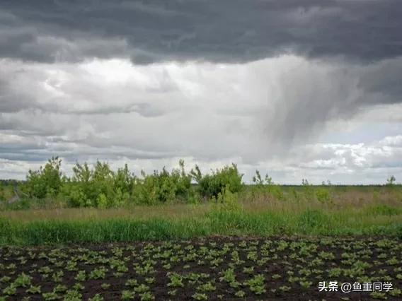 入伏这天天气预示什么,出伏当天天气好是啥预兆