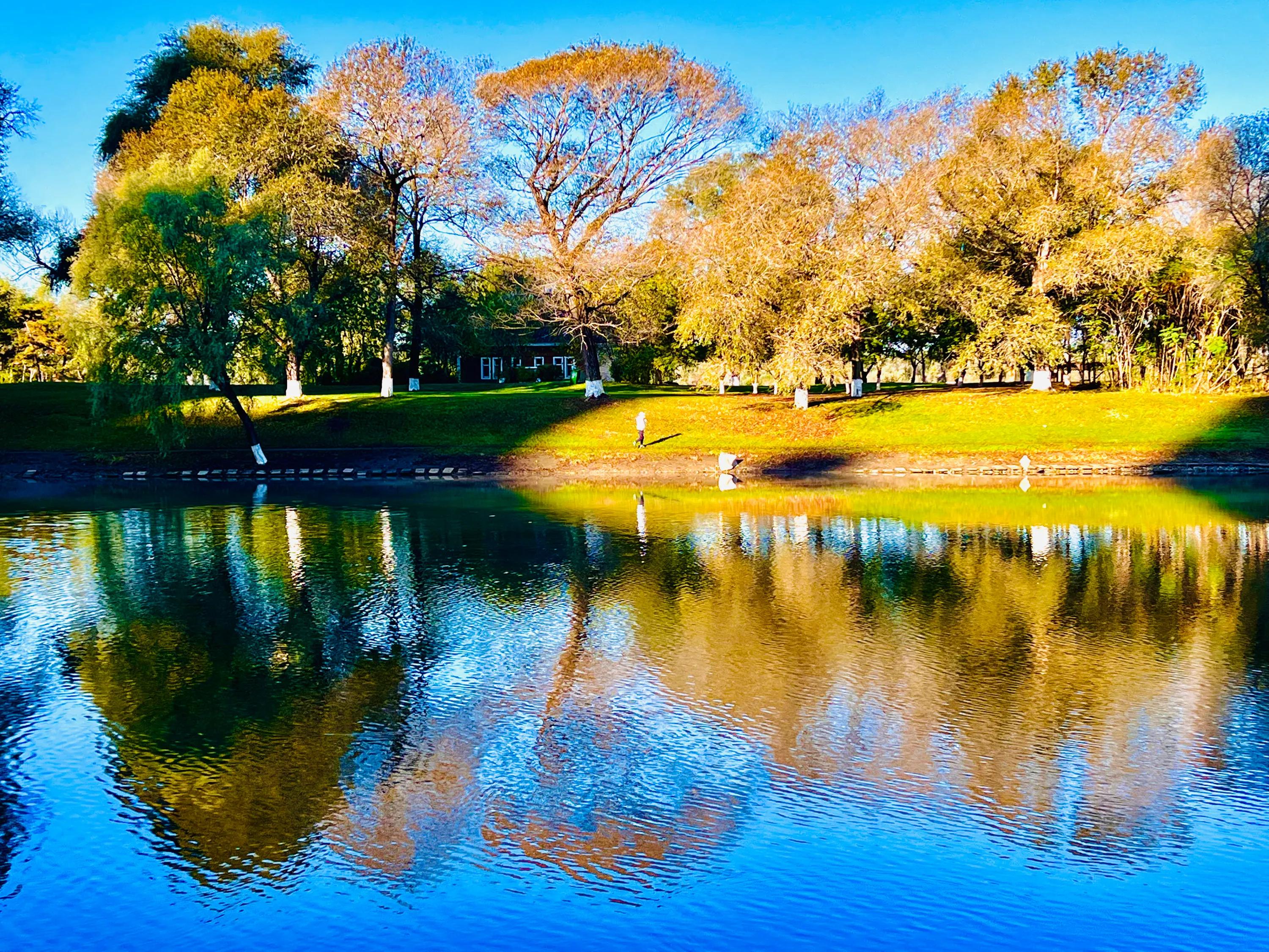 绉嬫按鏃犳仚姝岃瘝,绉嬫按鏃犳仚鍚庣画瀹岀粨