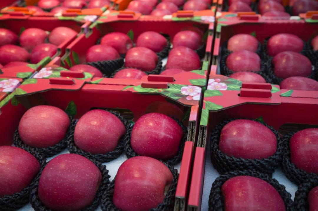 揭密果蔬好（一）：生鲜赛道里的隐形冠军