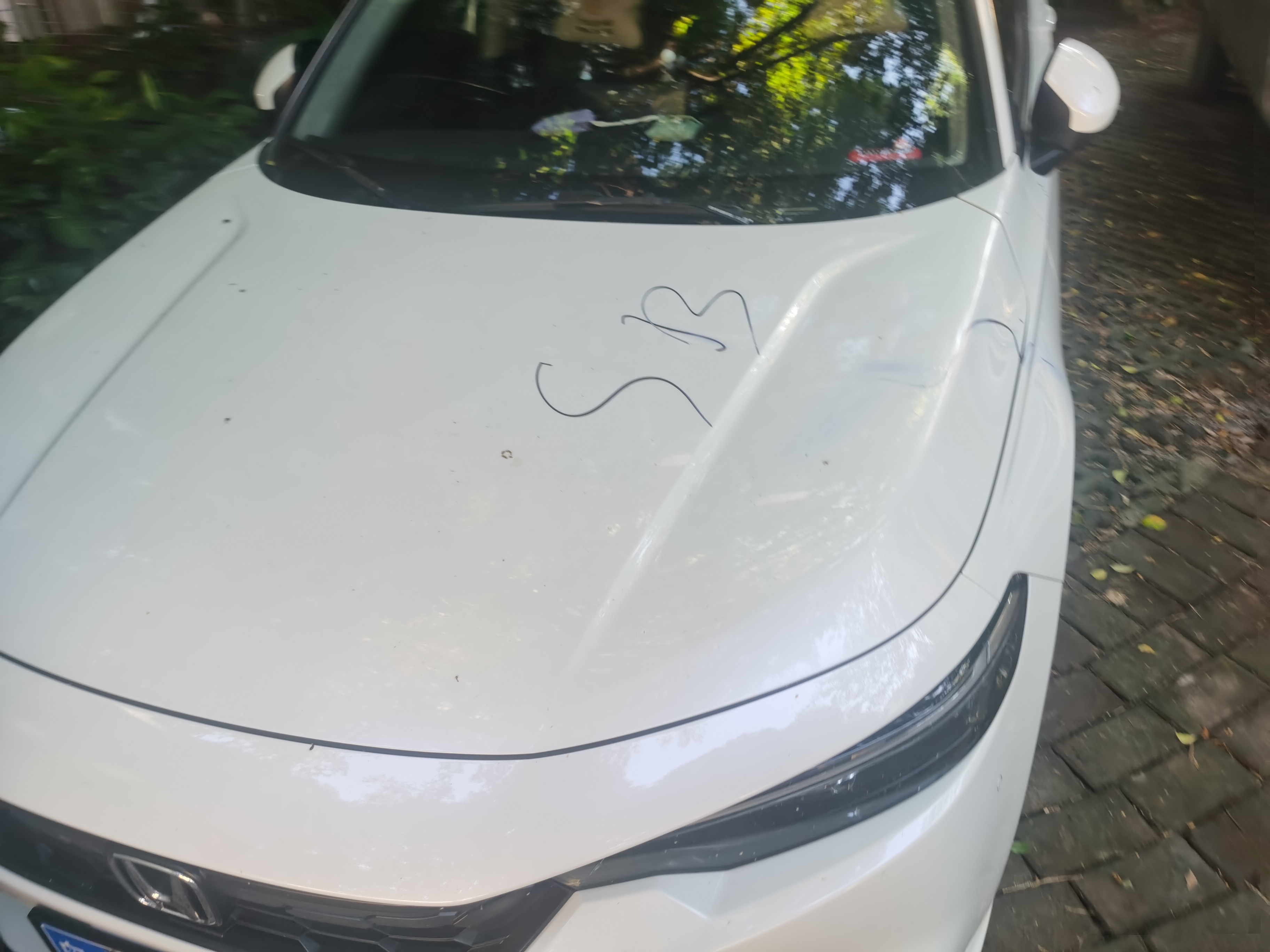 中山市坦洲镇中澳新城在*今条头日**上火了，快围观！