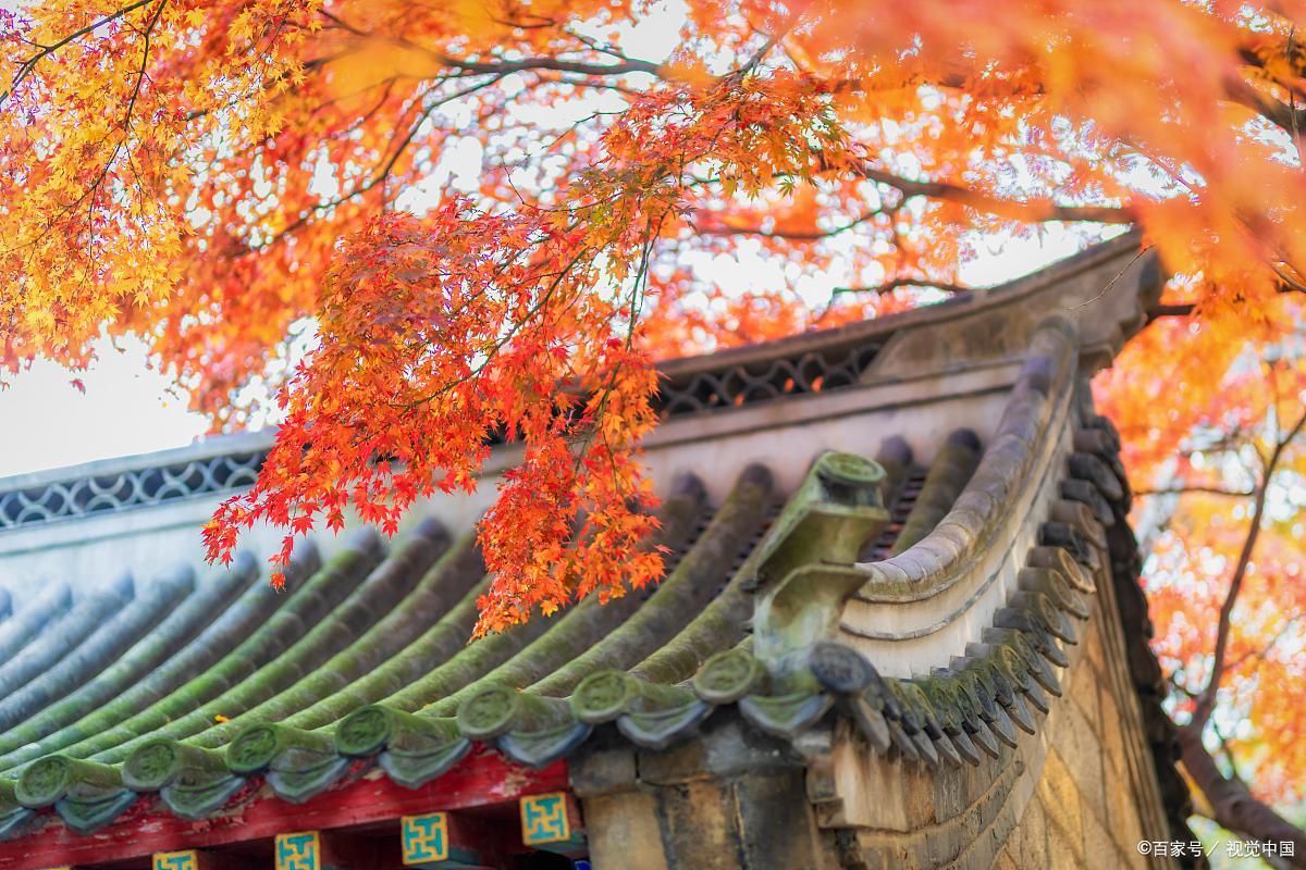 吐槽青岛坑人景区,被游客吐槽的景点其实应该这样玩