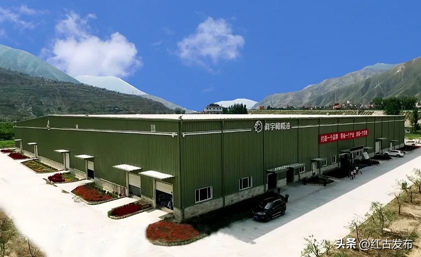 乡村振兴2023年最新热点,2023年乡村振兴必背知识点