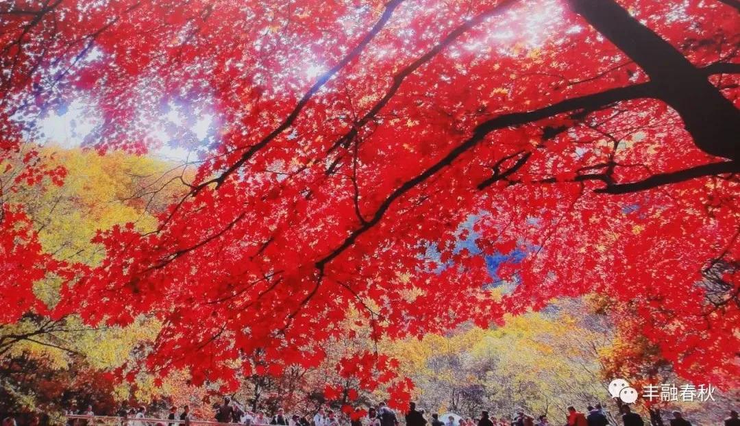 灏婇噸浠栦汉涔熸槸绛変簬灏婇噸鑷繁,灏婇噸鑷繁鍜屽皧閲嶄粬浜虹殑宸紓