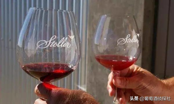 正宗葡萄酒酿造法,葡萄酒酿造步骤精简