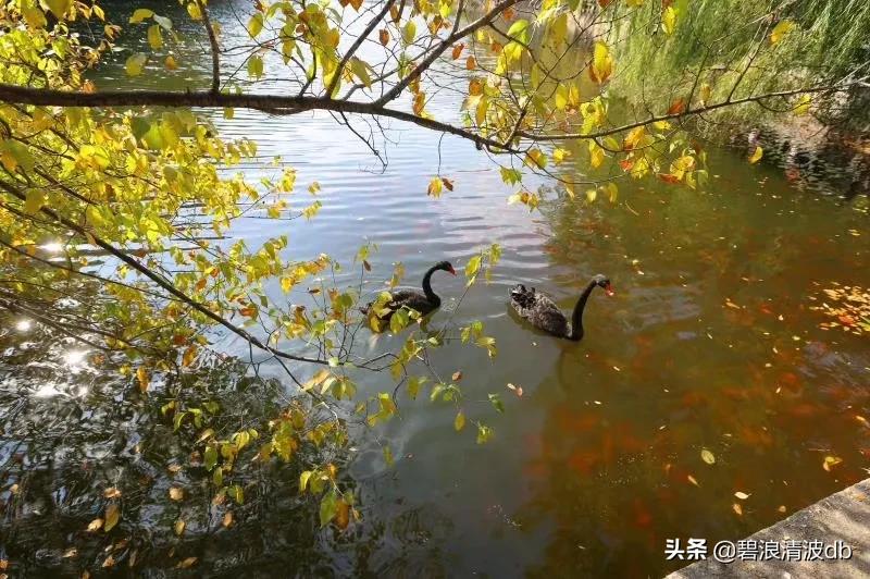 我眼中的家乡千山，真的很美