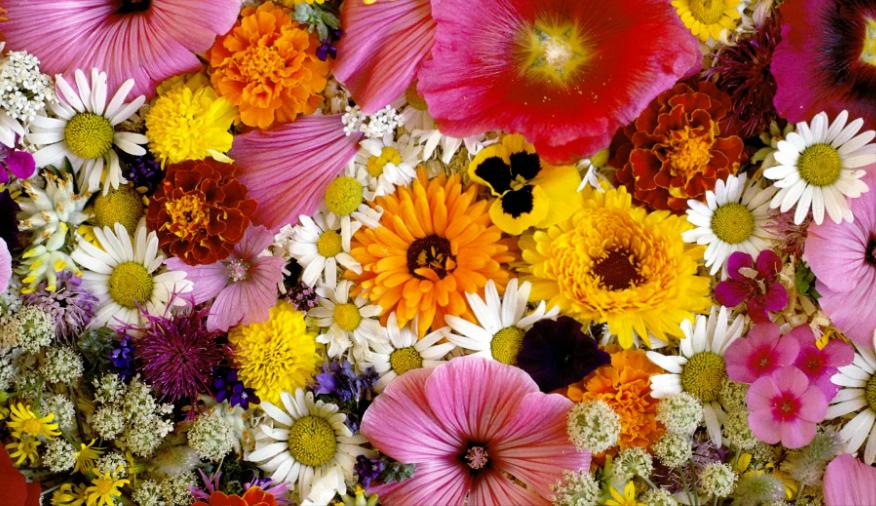 武汉摆地摊什么最好卖,武汉适合摆摊的小买卖