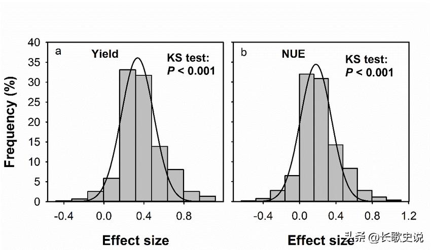 旱作马铃薯栽培技术试验,单垄单行马铃薯高产种植技术
