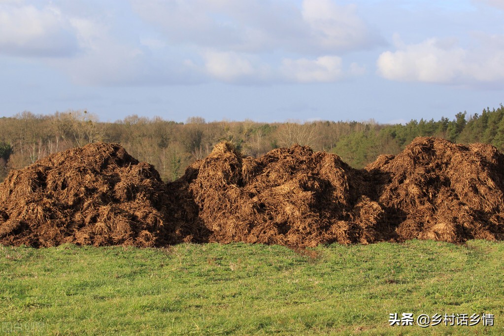 国外有机肥制作过程,国外有机肥怎么使用