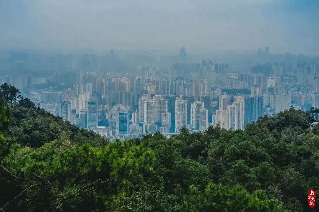 夜游广州塔citywalk,夜游香港citywalk