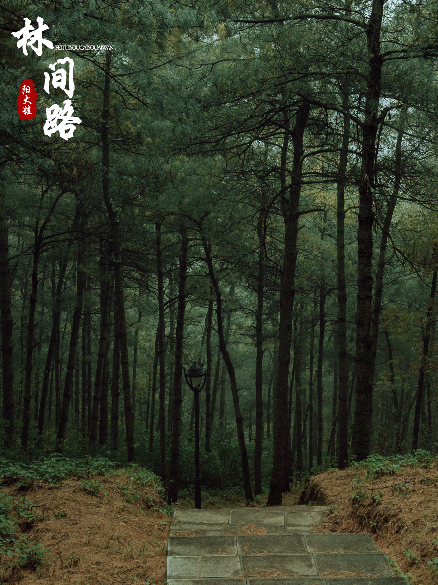 海口世纪公园游玩攻略一日游,昆明海口石城公园路线图