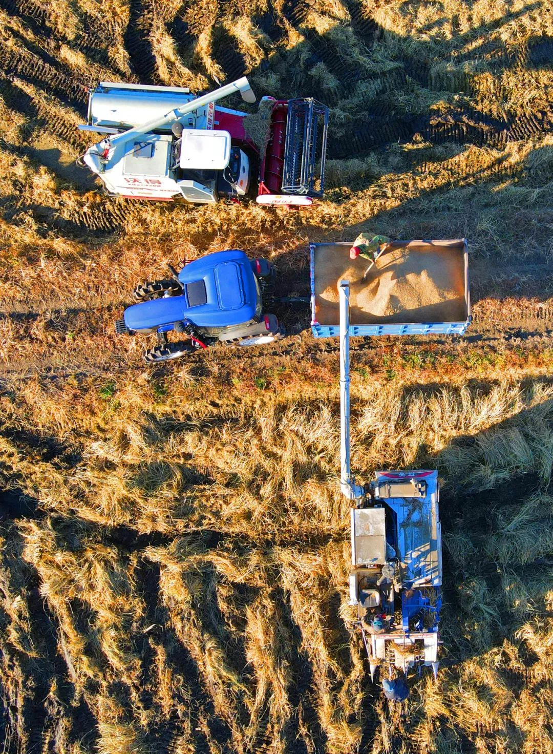 丘陵山地农机,山地丘陵专用农机设备