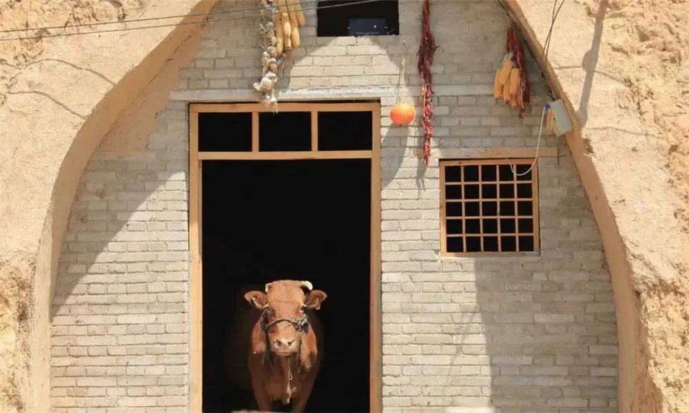 大美崇信，诚信之城欢迎您！