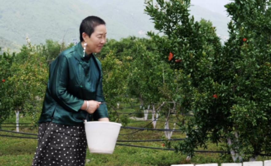 大理农场主明会姐|给我最大力量的,不是资本,也不是情怀