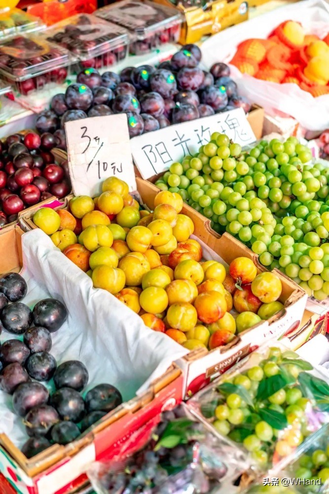 武汉批发市场品牌,武汉批发市场五楼