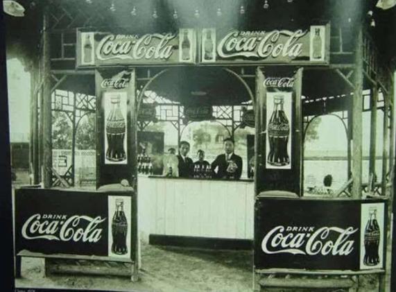 古柯树可以提取什么,在古柯树中提取的生物碱是什么