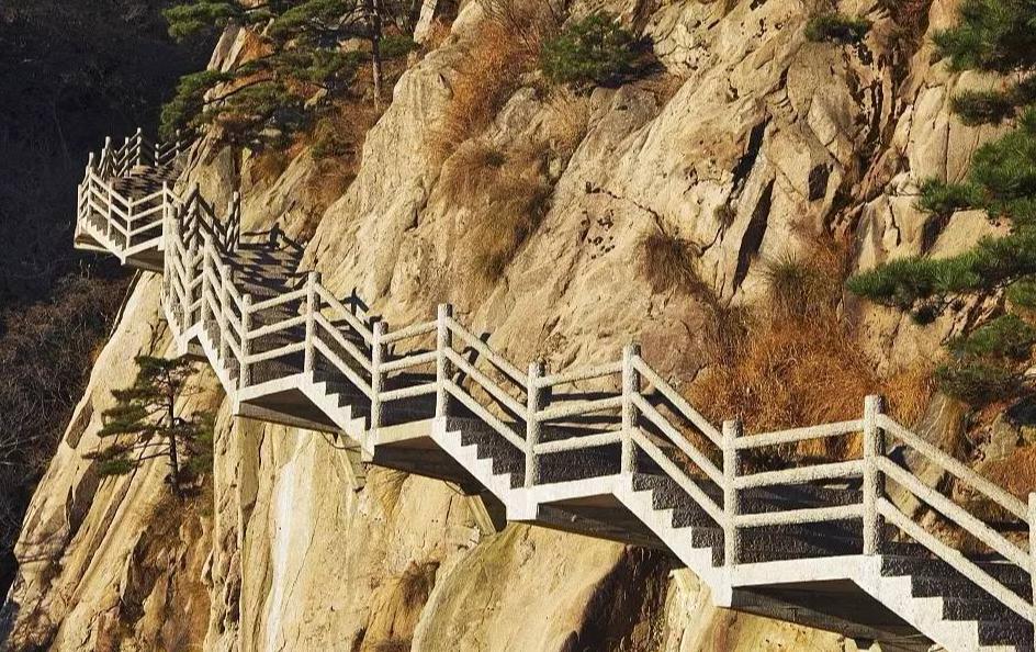 高中最难背诵的诗,高中最难背的几首诗