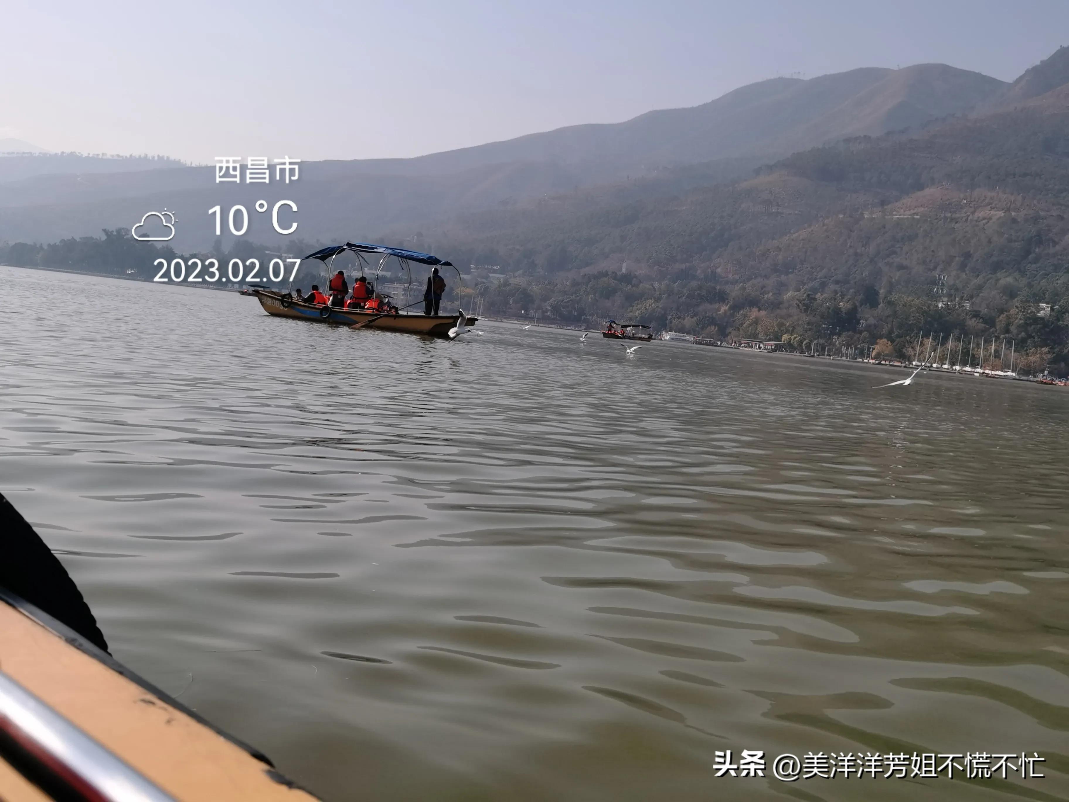 西昌邛海什么时候有海鸥,冬季去西昌邛海喂海鸥