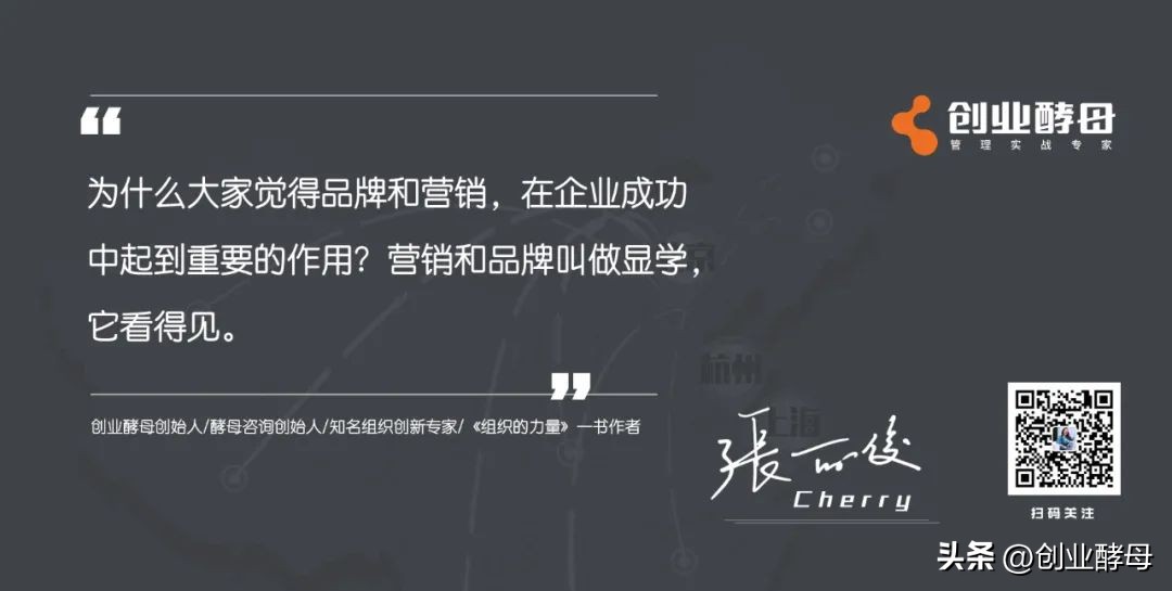 张丽俊谈营销,小马宋营销课复盘系列