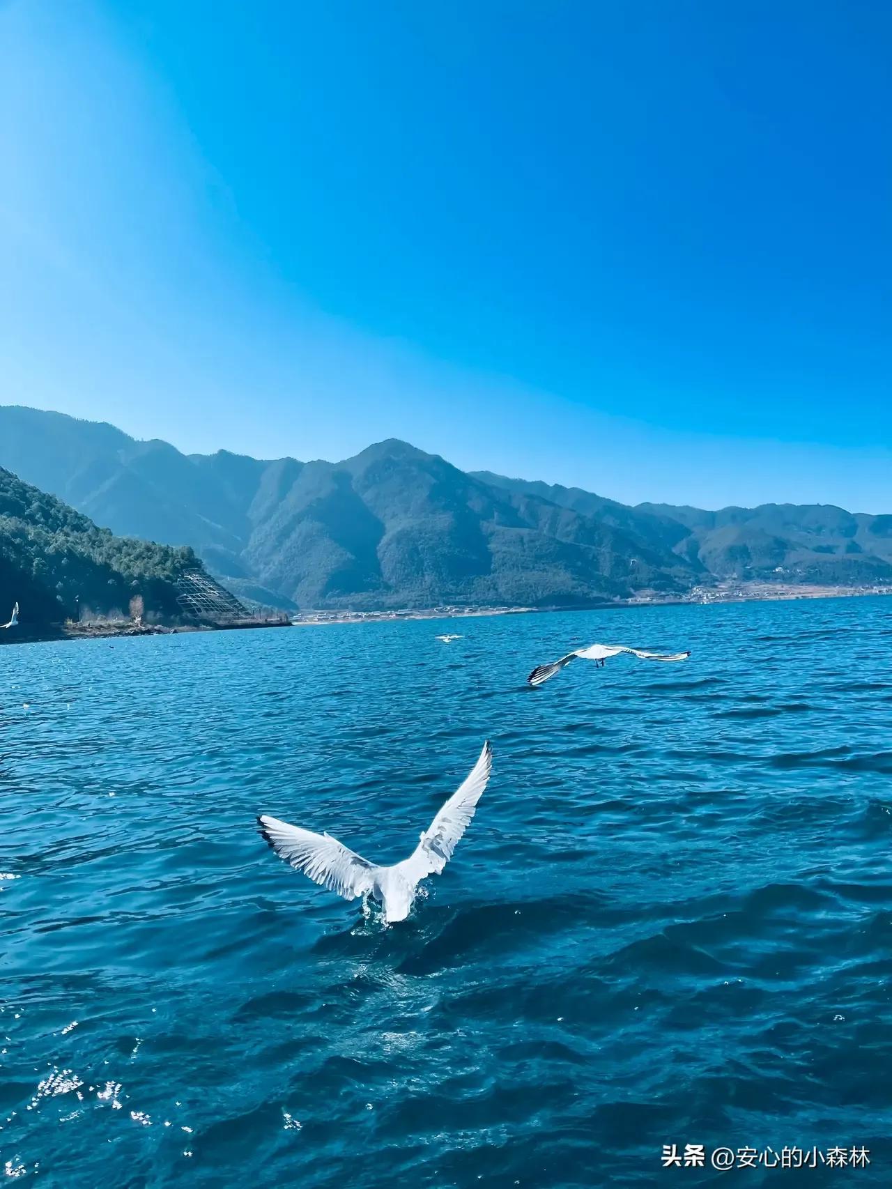 六年级英语反义词大全,矮的反义词是什么英语