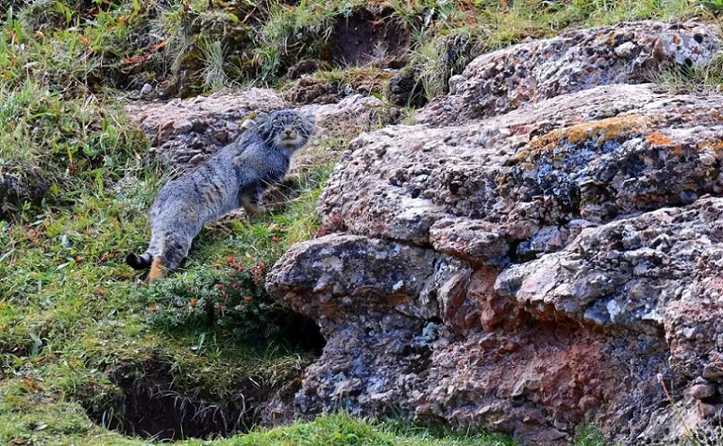 青海必游十大景点排名,青海必去十大景点排名