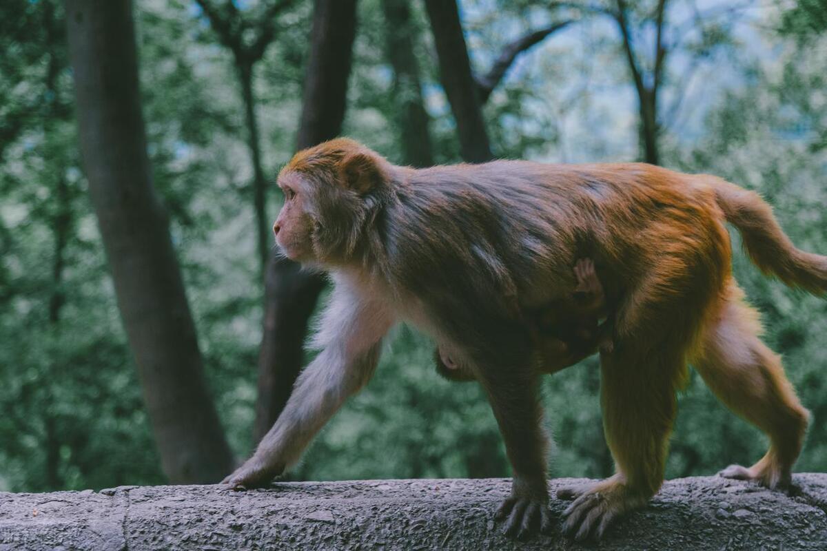 贵州十大旅游景点地图全图,去贵州玩必去的景点推荐一下