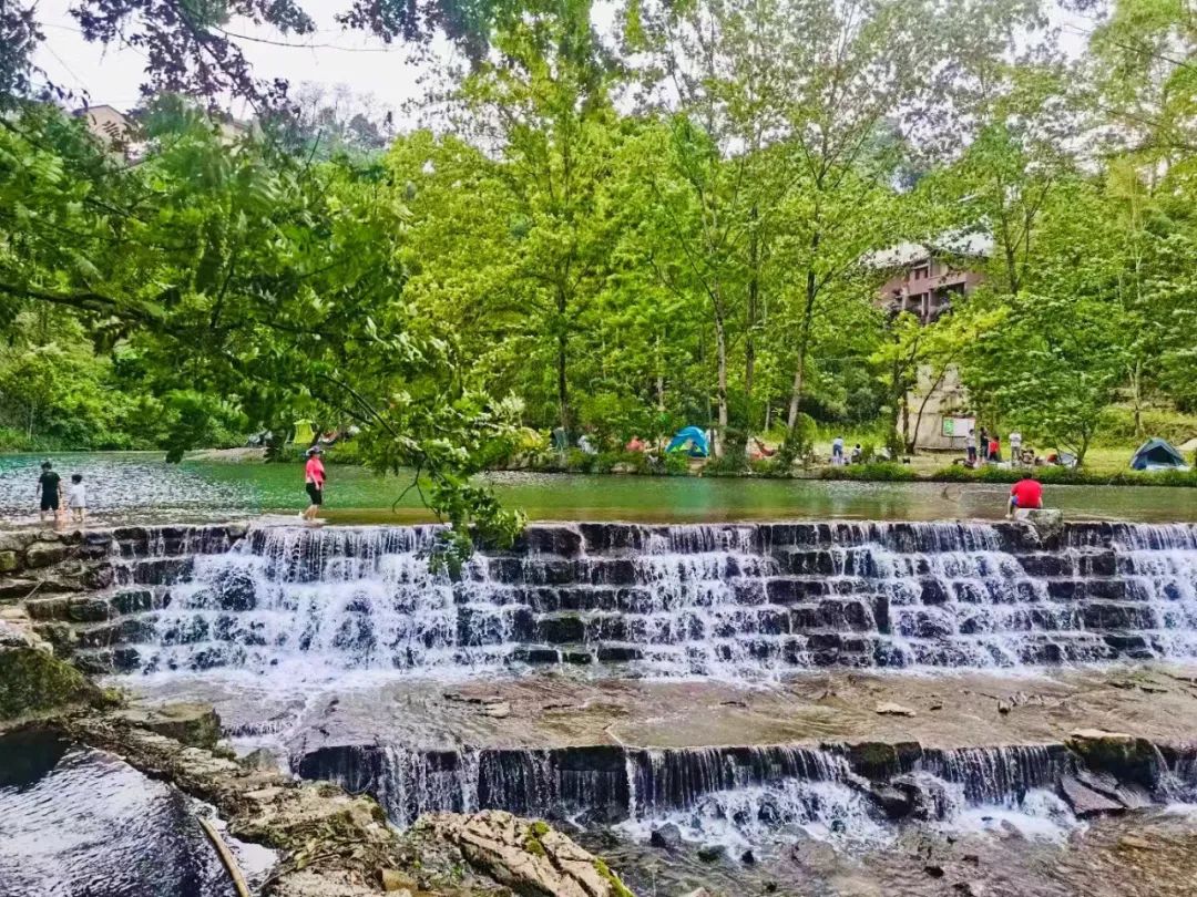 南川区金佛山旅游攻略,南川金佛山一日自驾游攻略