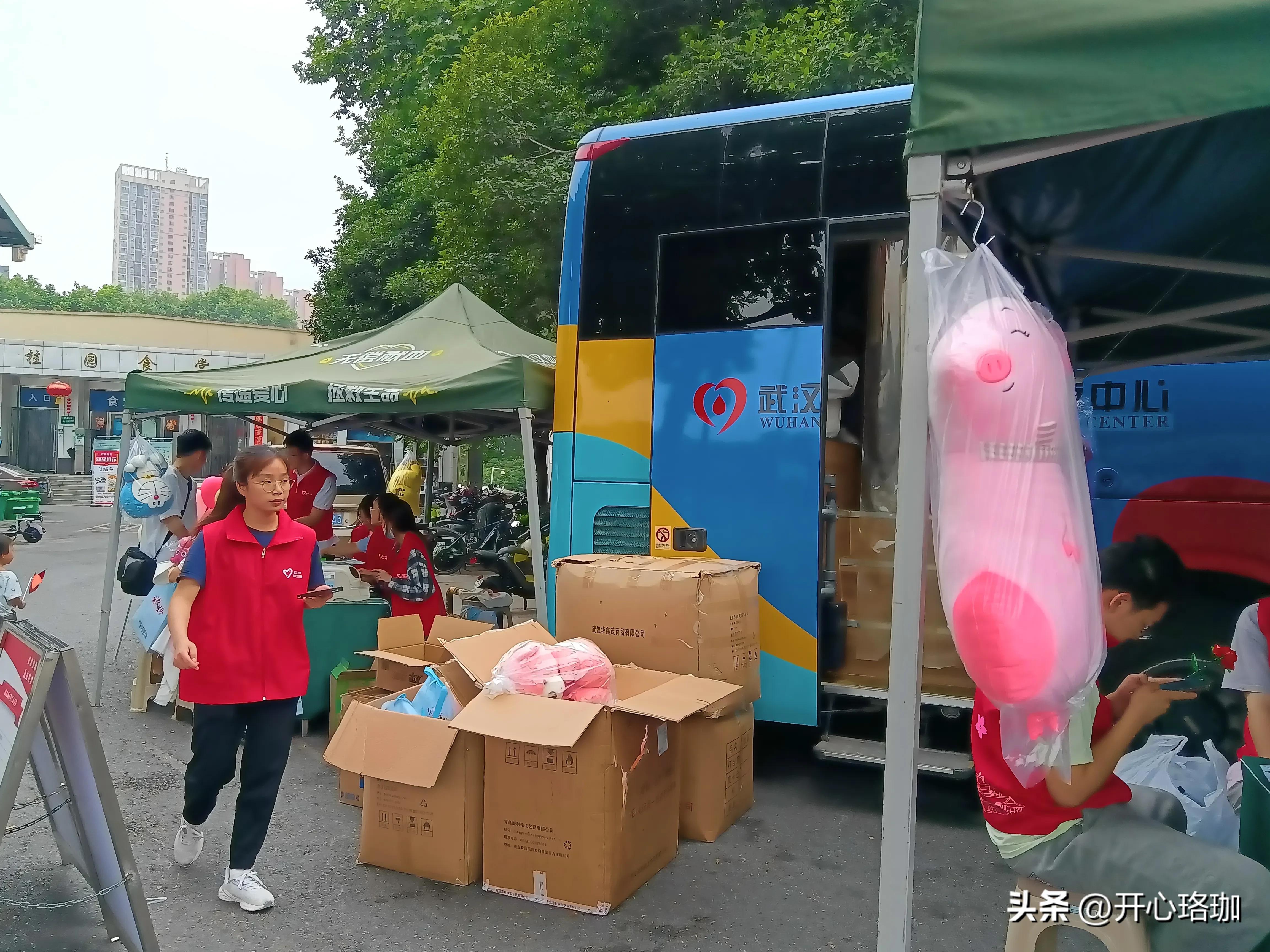 武汉大学暑假活动,武汉大学学生活动