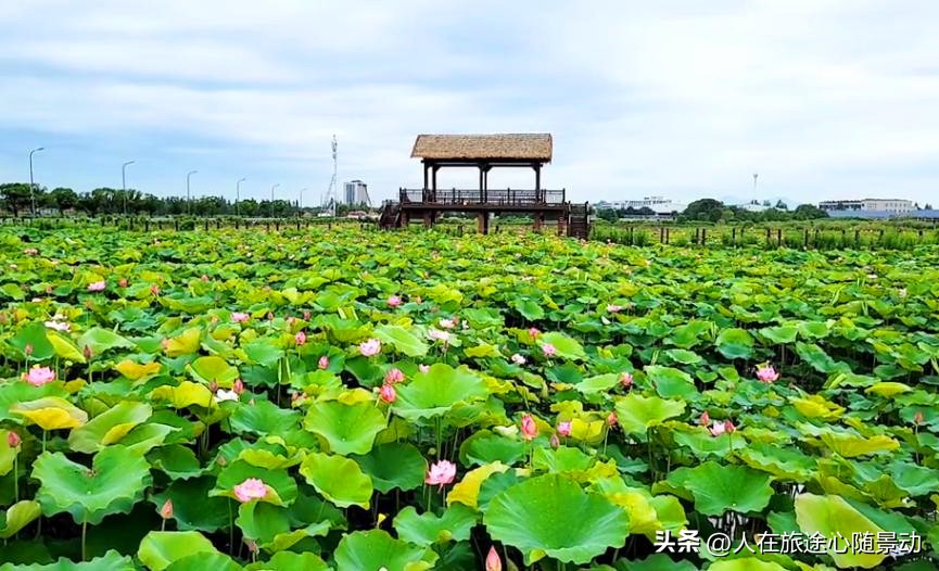宁波旅游攻略必去十种景点,宁波旅游必去十大景点推荐一下