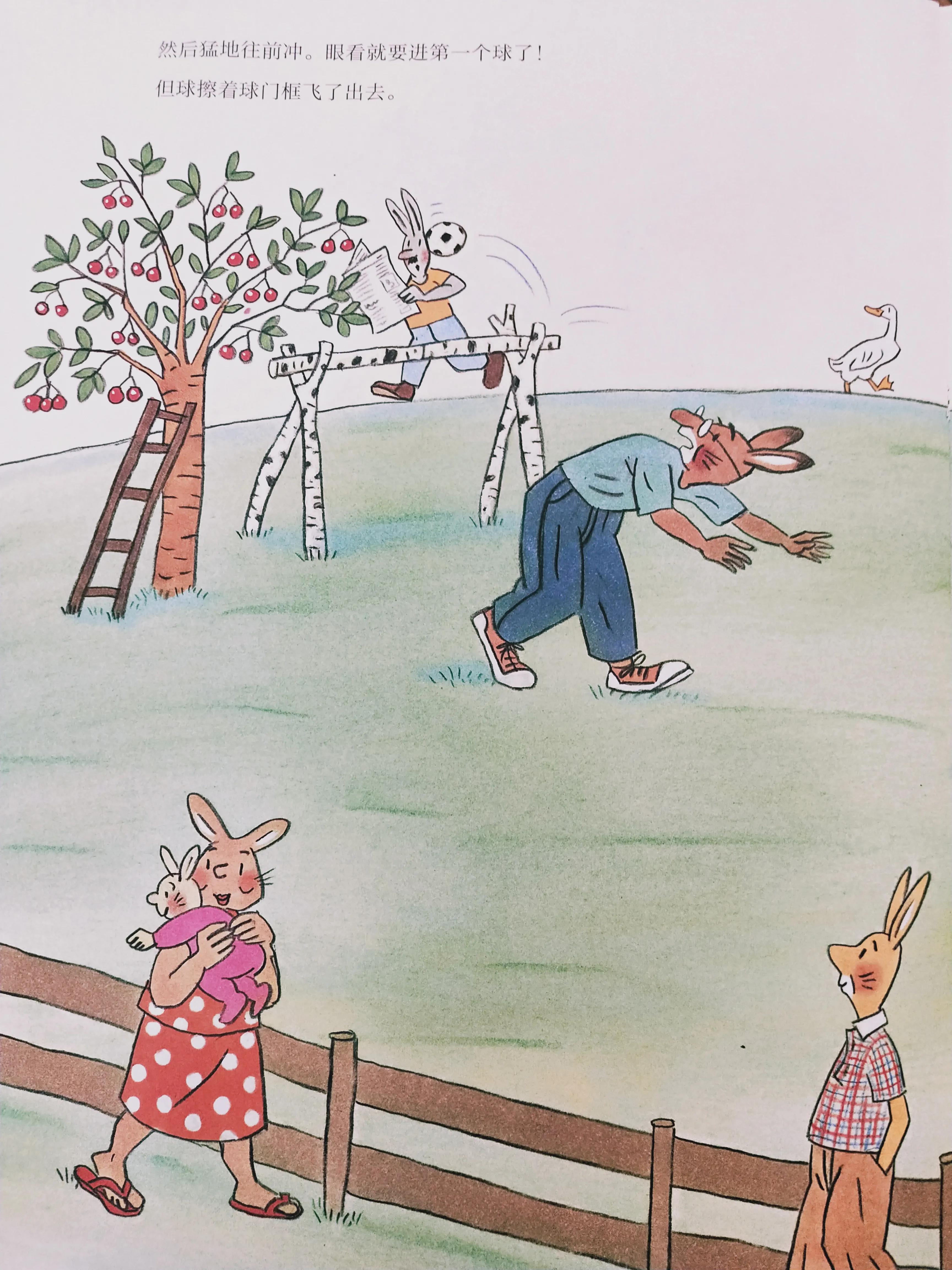 小兔卡尔踢足球绘本讲述,阅读绘本足球