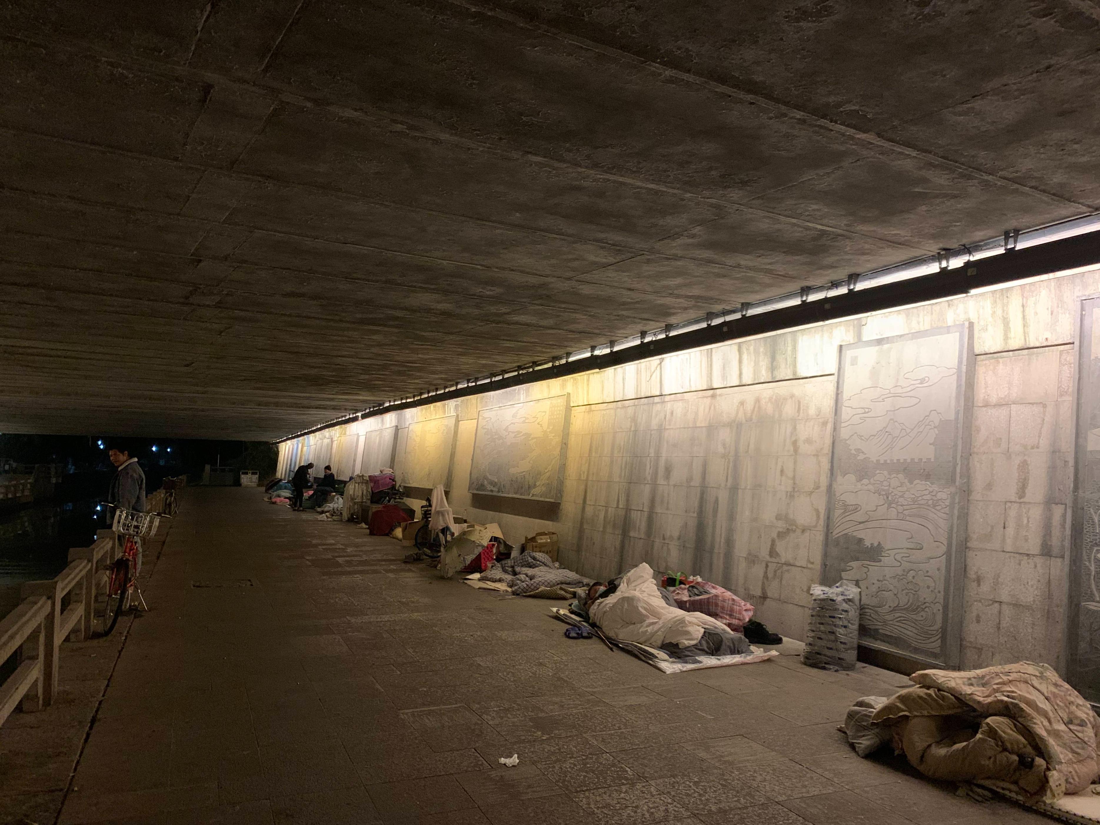 浙江杭州流浪汉救猫后续 (杭州流浪汉救小猫的视频)