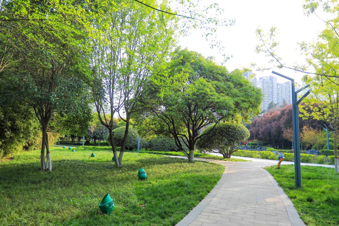 玩耍是孩子最大的乐趣,玩耍是孩子们快乐的天性