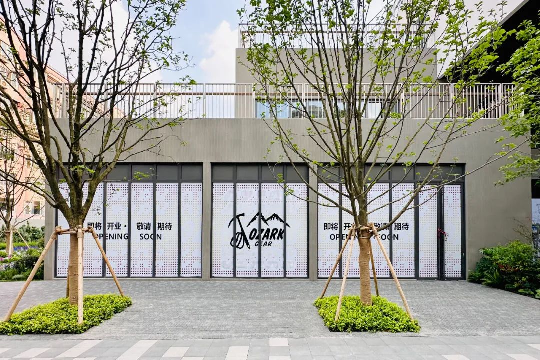 kolon最新款,kolon虎年新款