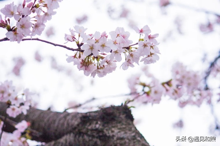 如果朋友跟你表白拒绝了怎么办,最好的异性朋友对你表白怎么拒绝