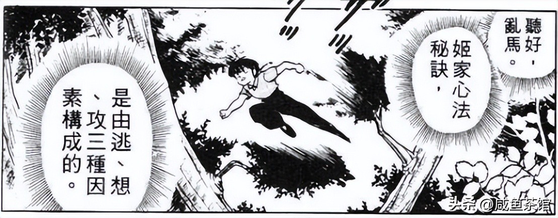 乱马12部分详解,乱马的招式