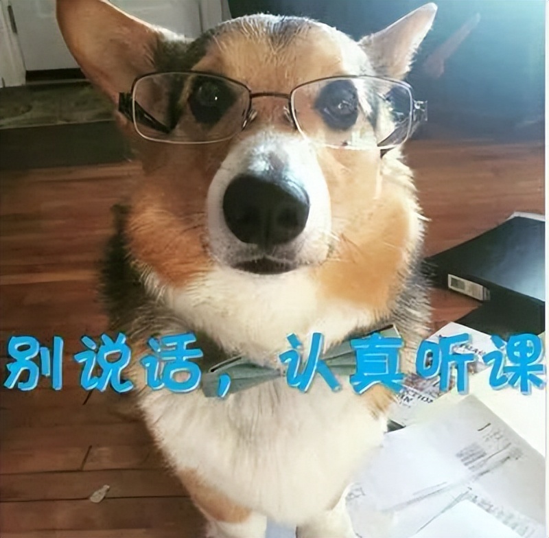 坚蛋健身模式是怎么样的,坚蛋运动健身怎么样