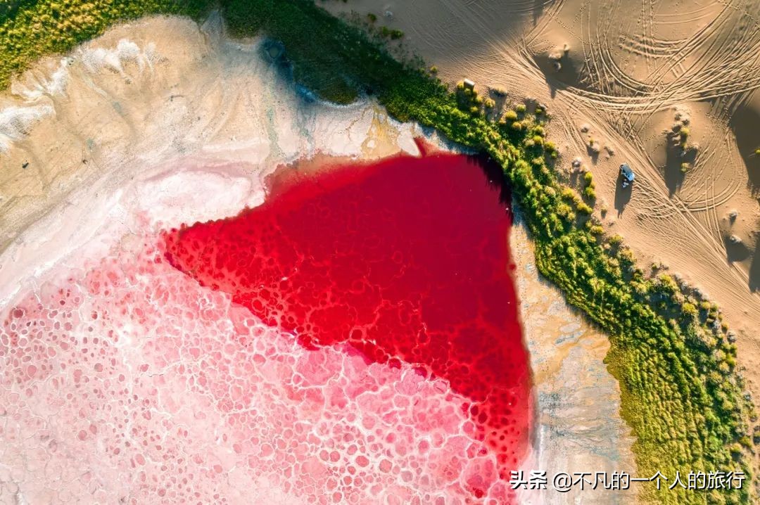 等疫情结束的优美句子,等疫情结束你最想做什么