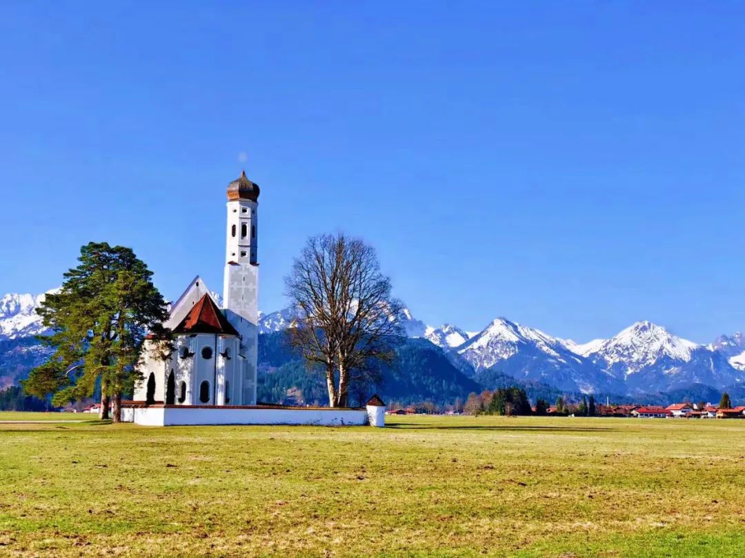 乡村振兴和巩固脱贫攻坚典型案例,人民网2022年乡村振兴示范案例