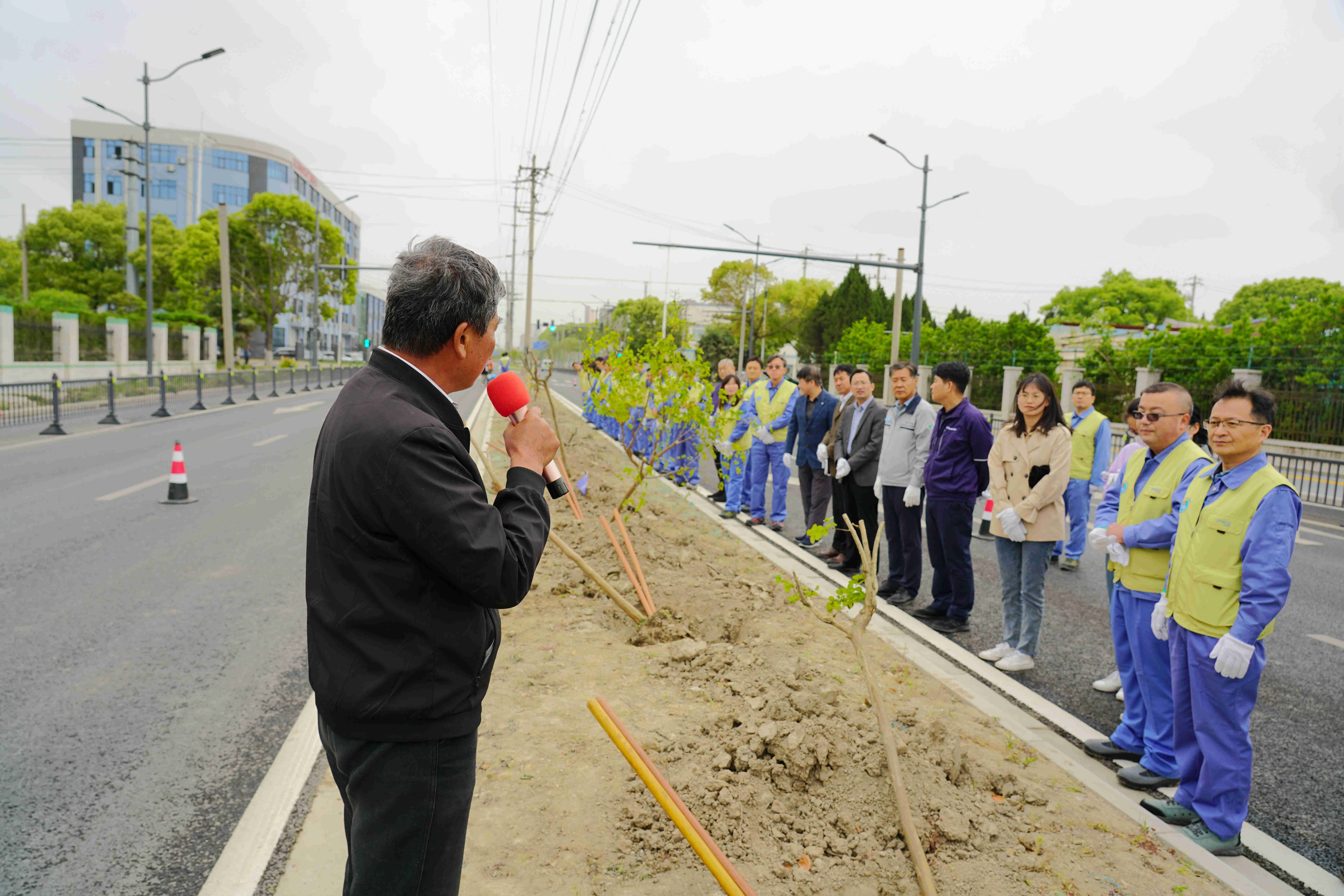 植树节种下盎然绿意,种下新绿