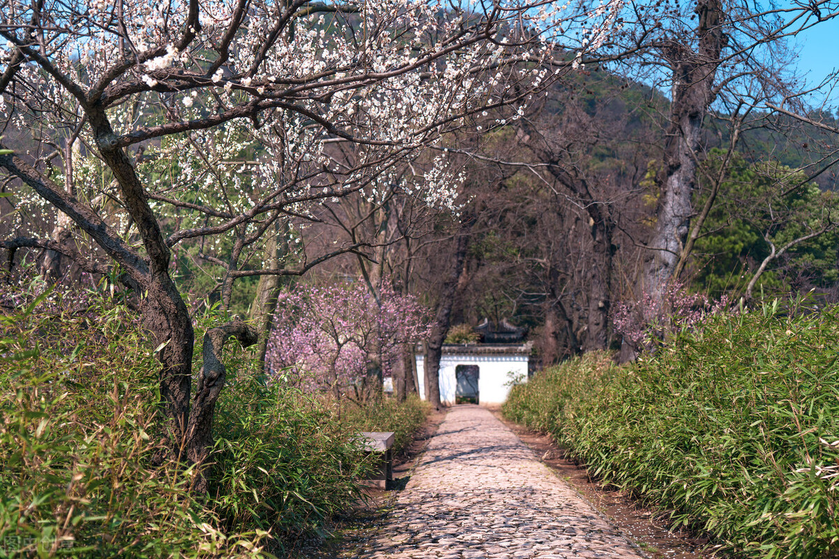 职场里，如果有人想要搞你，怎么都能找到理由，要如何处理