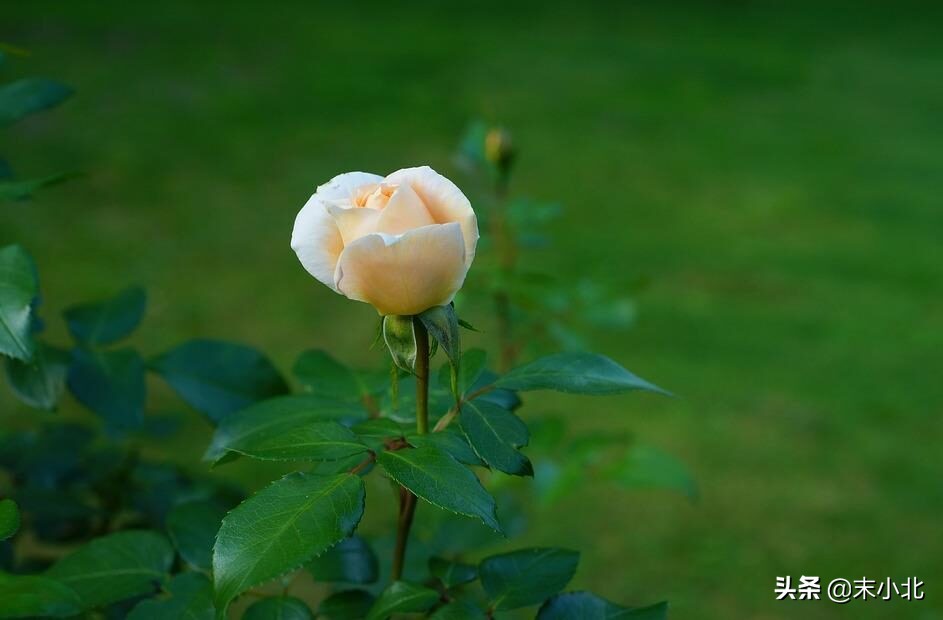 如果相爱的人不能再爱了怎么办,如果相爱的人不能在一起该怎么办